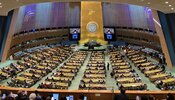 Important milestones for universal health coverage at the 79th UN General Assembly