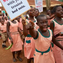 Appel à candidatures auprès des OSC pour la coprésidence du Comité directeur de la CSU2030