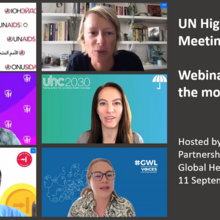 Screenshot of webinar panelists and event title and date